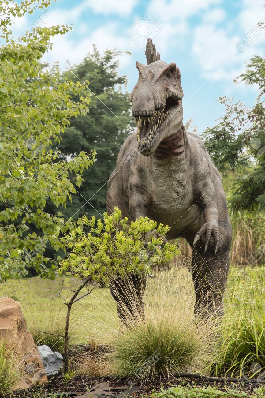 spinosaurus large carnivorous dinosaur