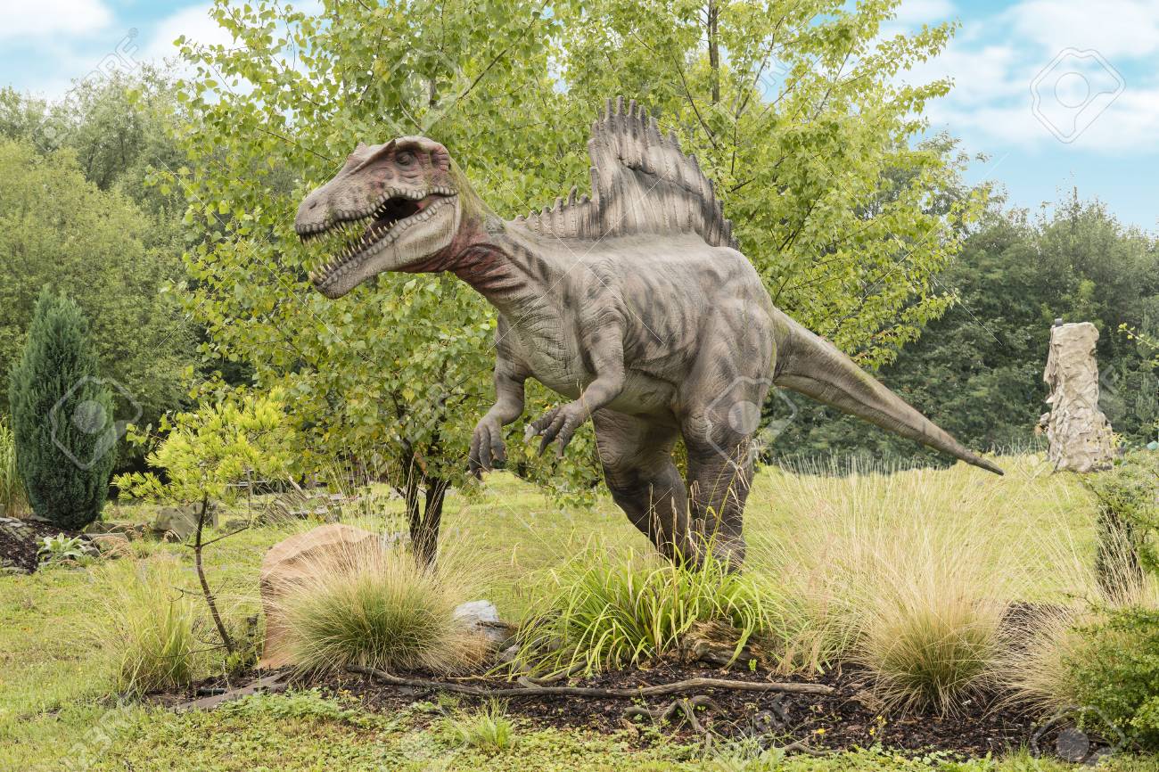 spinosaurus large carnivorous dinosaur