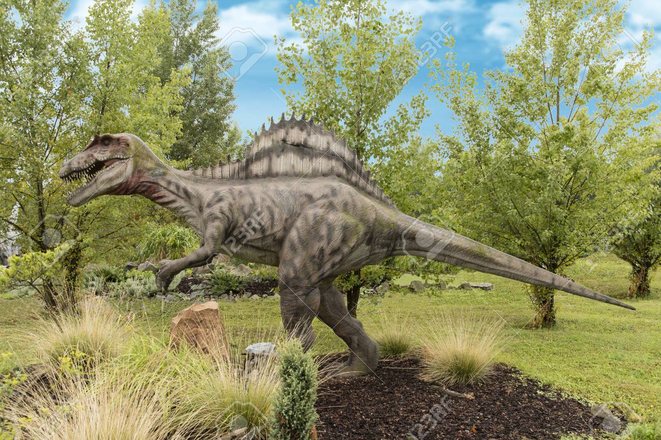 spinosaurus large carnivorous dinosaur