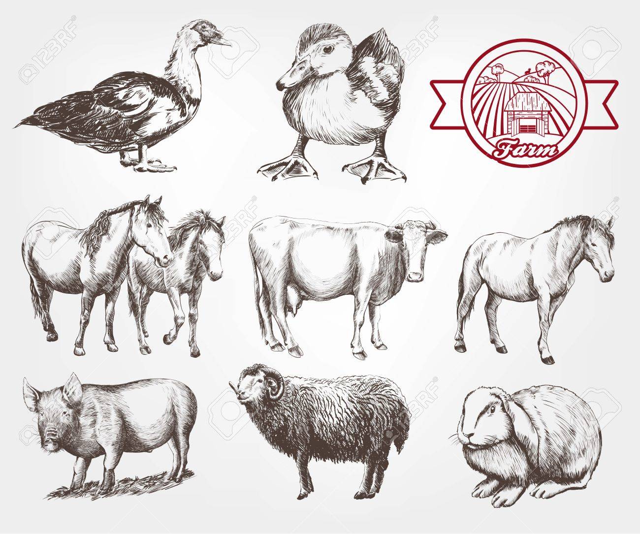 Farm Animals. Set Of Vector Sketches On A White Background Royalty ... for Animal Farm Sketch
183qdu Farm Animals. Set Of Vector Sketches On A White Background Royalty ... for Animal Farm Sketch
183qdu