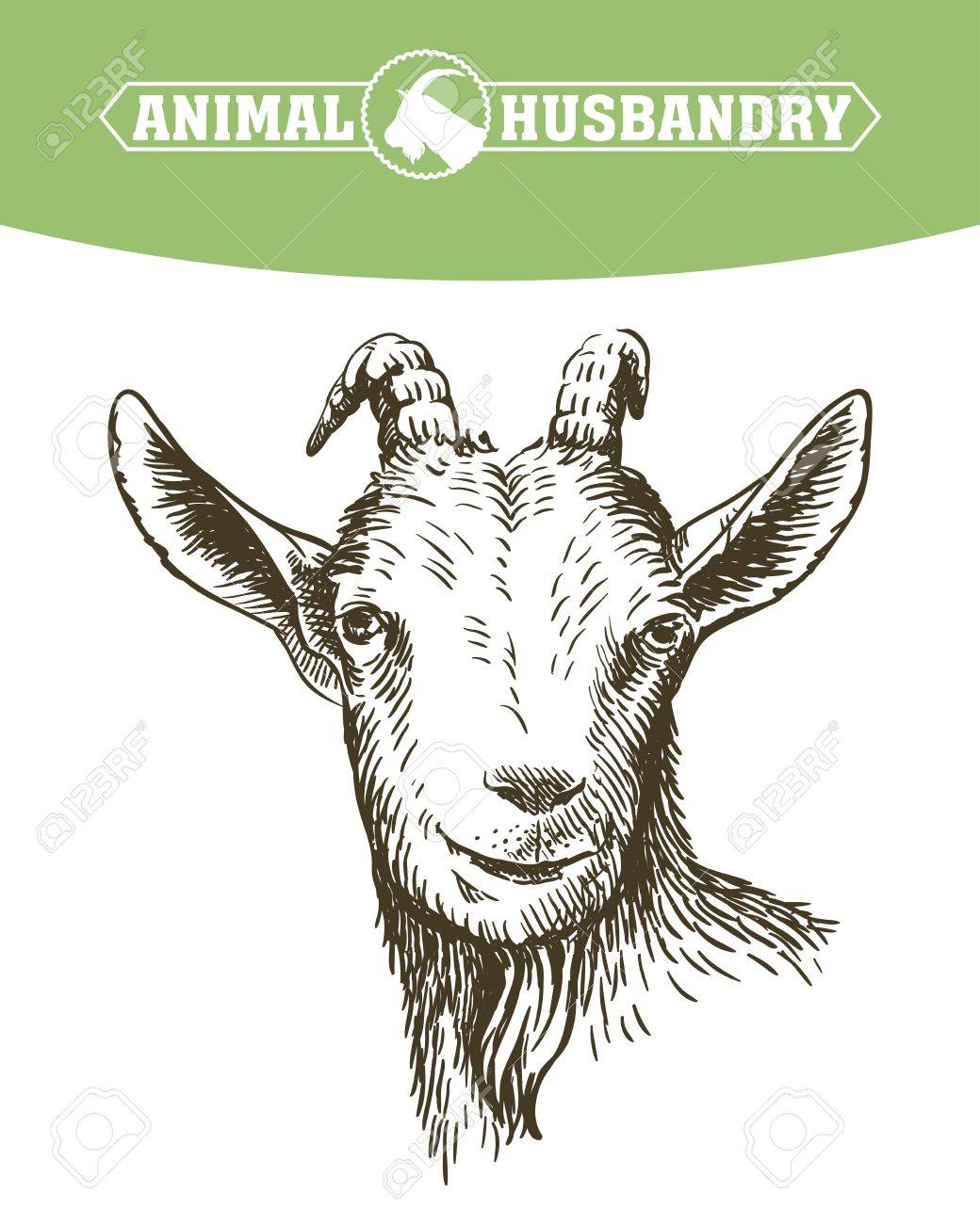 ヤギの頭 家畜 動物放牧します 手書きのスケッチ のイラスト素材 ベクタ Image