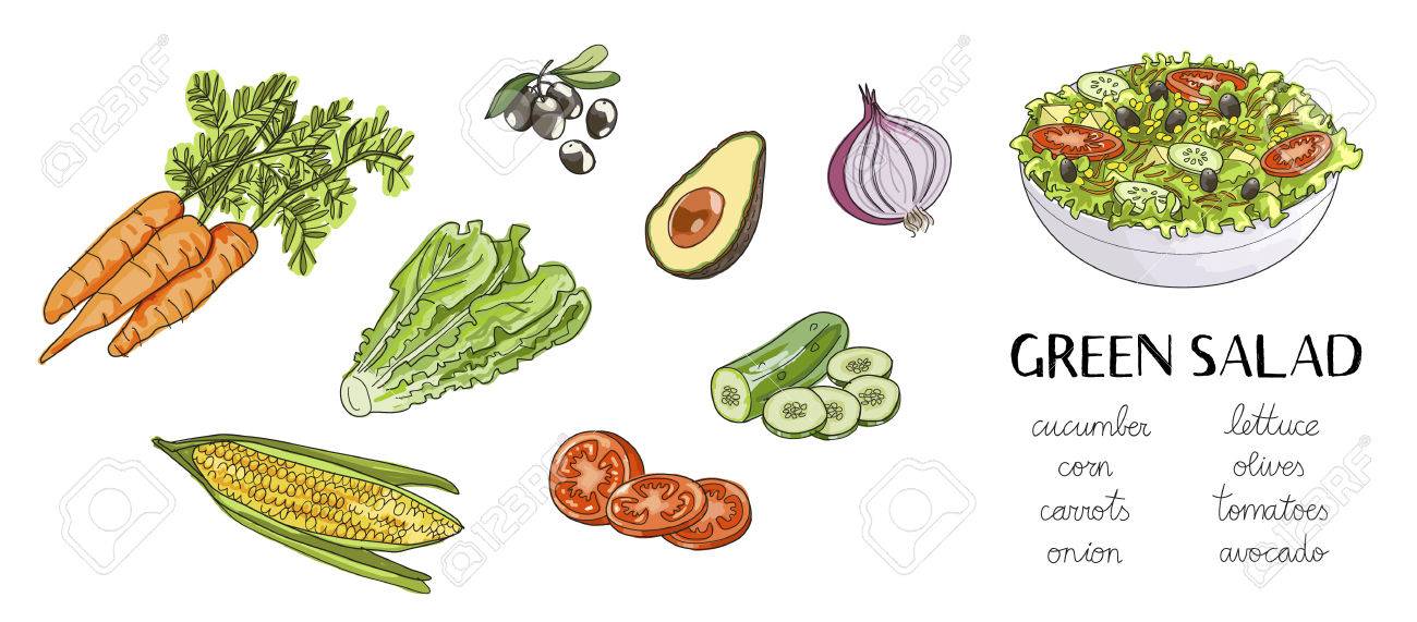 Illustration Of Hand Drawn Green Salad Ingredients Bowl Of Salad Royalty Free Cliparts Vectors And Stock Illustration Image 81881794