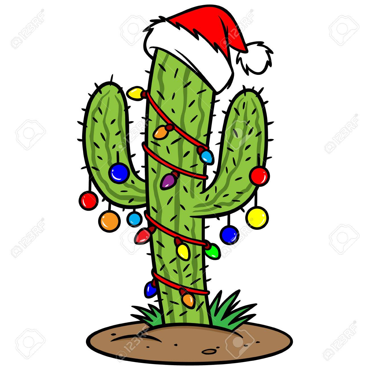 Christmas Cactus Royalty Free Cliparts Vectors And Stock Illustration Image 57291599