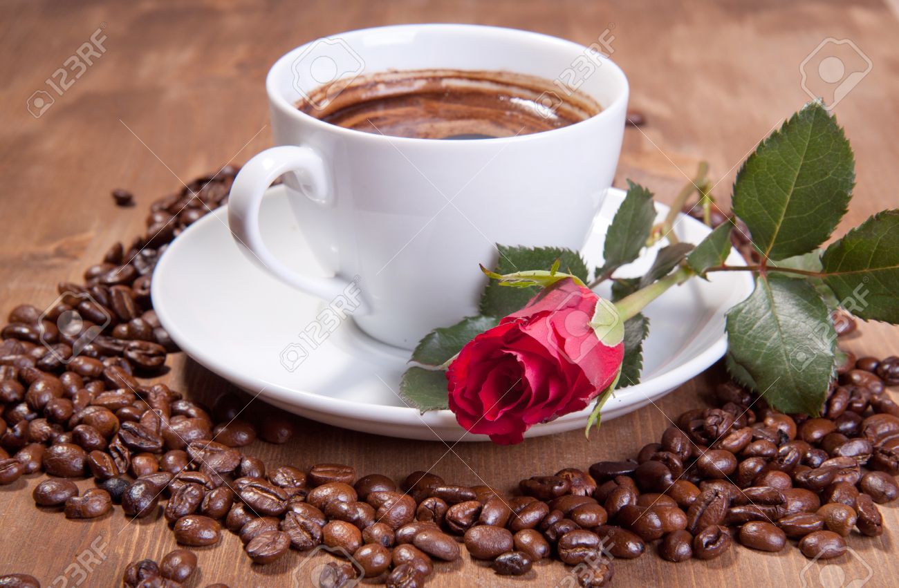 frame bolsa top tube