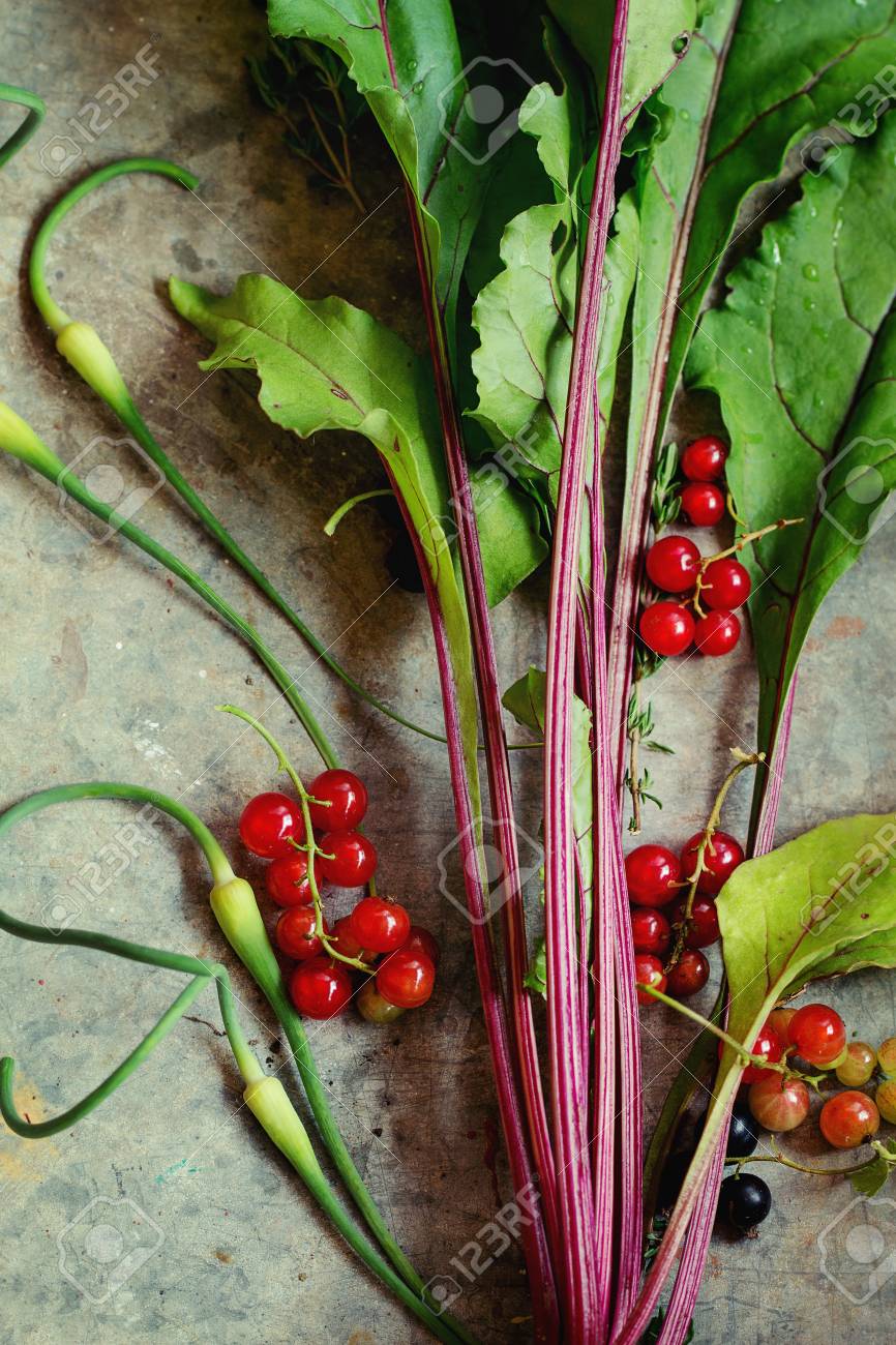 生有機野菜ビーツ植物 ニンニク リーフのサラダ 灰色のテクスチャの背景の上の赤スグリの様々 な トップ ビュー の写真素材 画像素材 Image