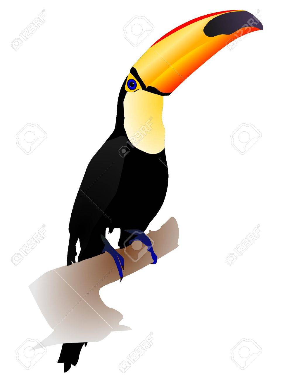 白い背景の上に座ってベクトル イラスト オオハシ のイラスト素材 ベクタ Image