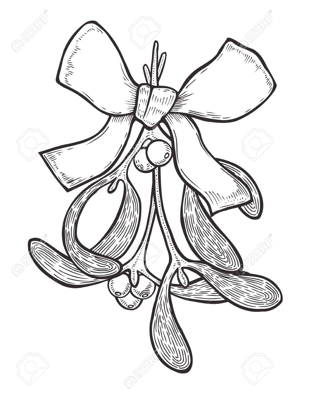 白黒手描きヤドリギ工場ベリー ベクトル新年ヤドリギ 冬の