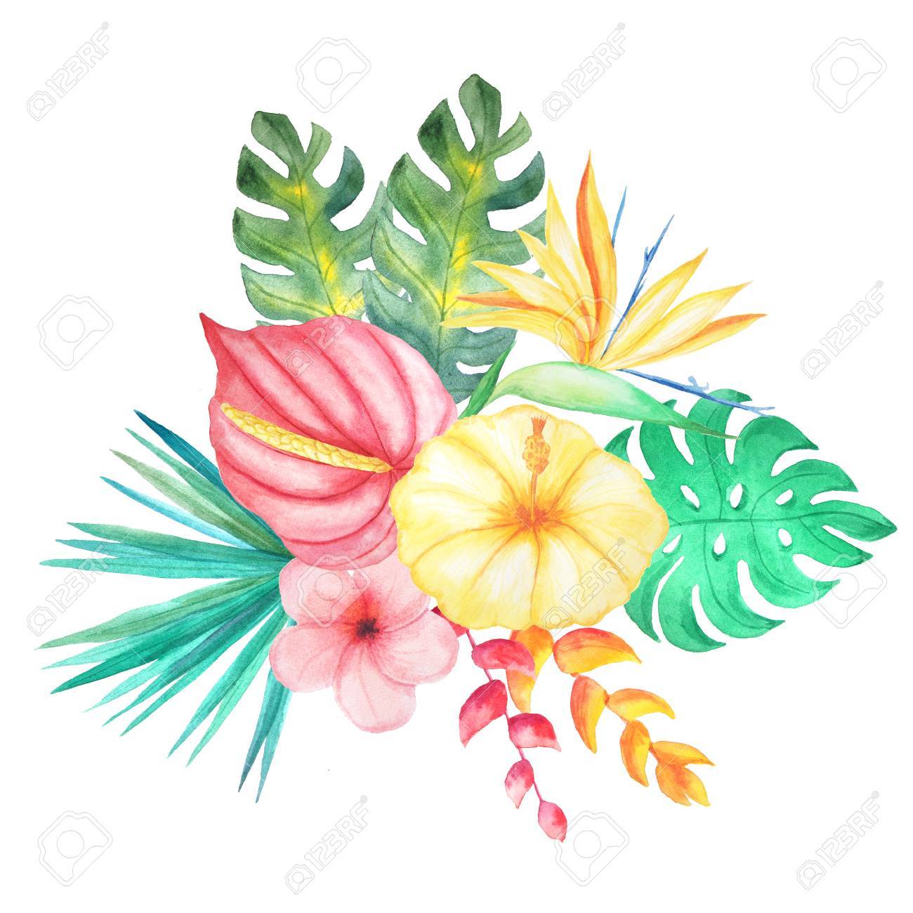 set of watercolor hand painted tropical flowers leaves and plants