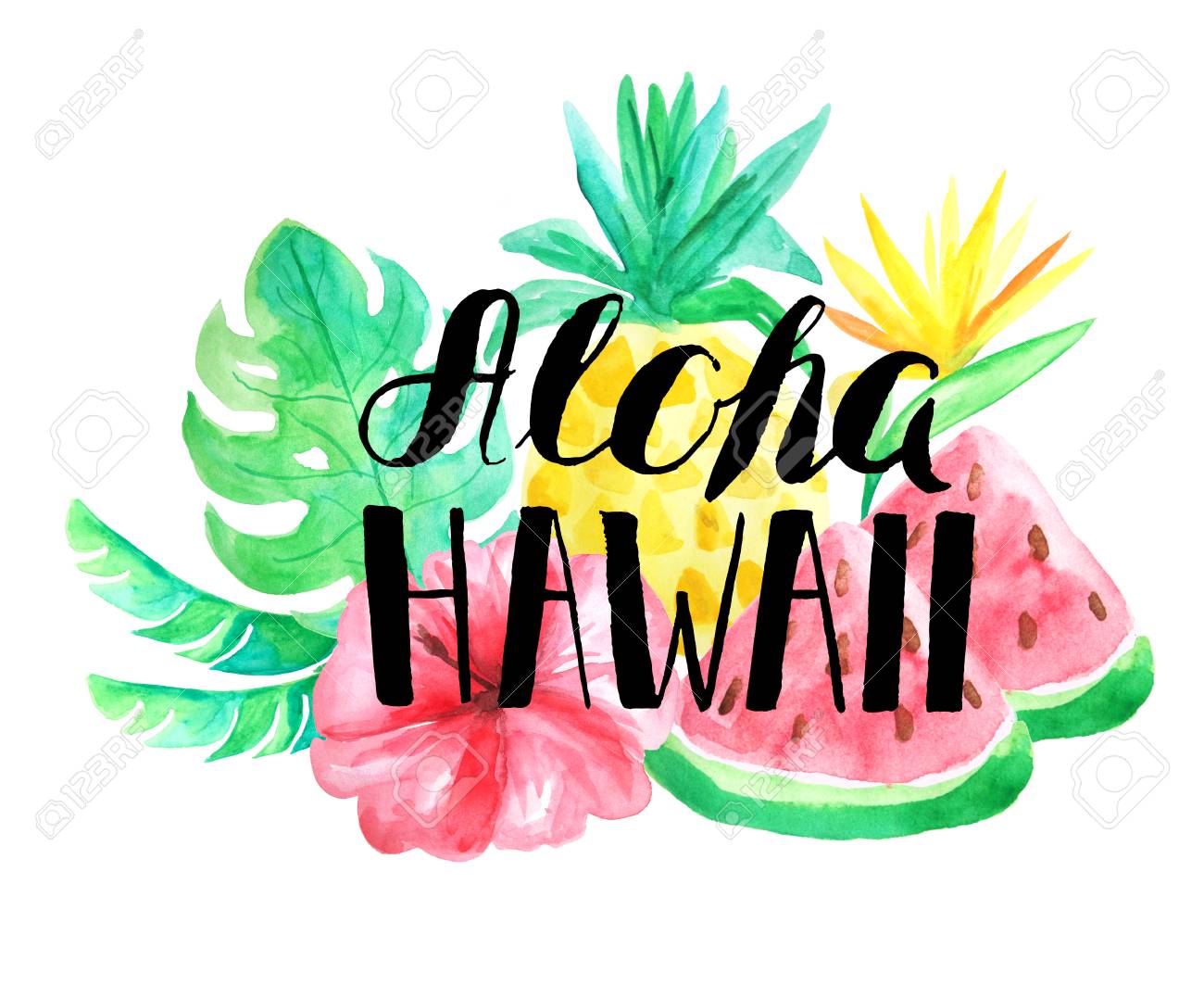 aloha hawaii lettering set of watercolor tropical composition