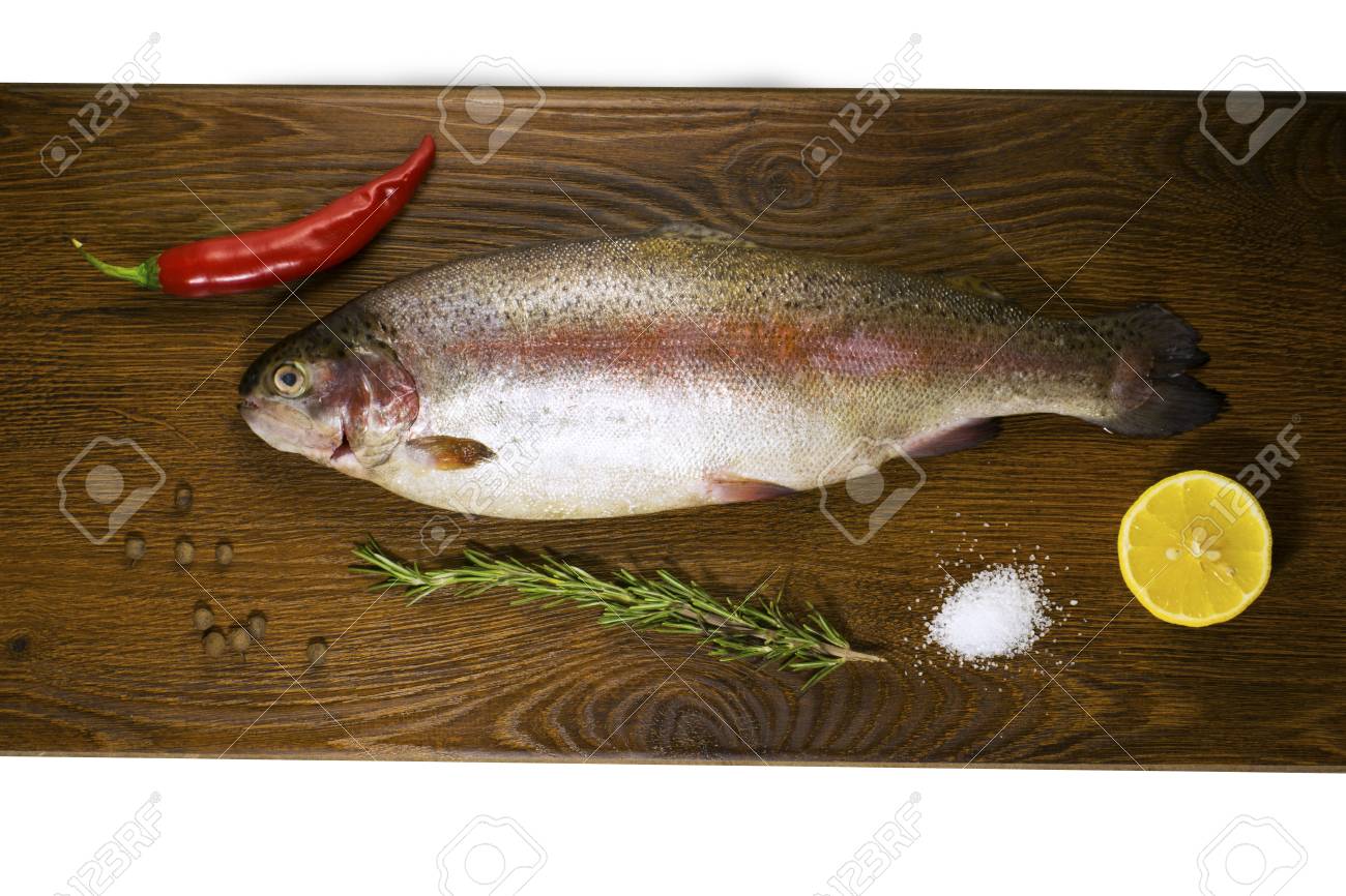 アトランティック サーモン