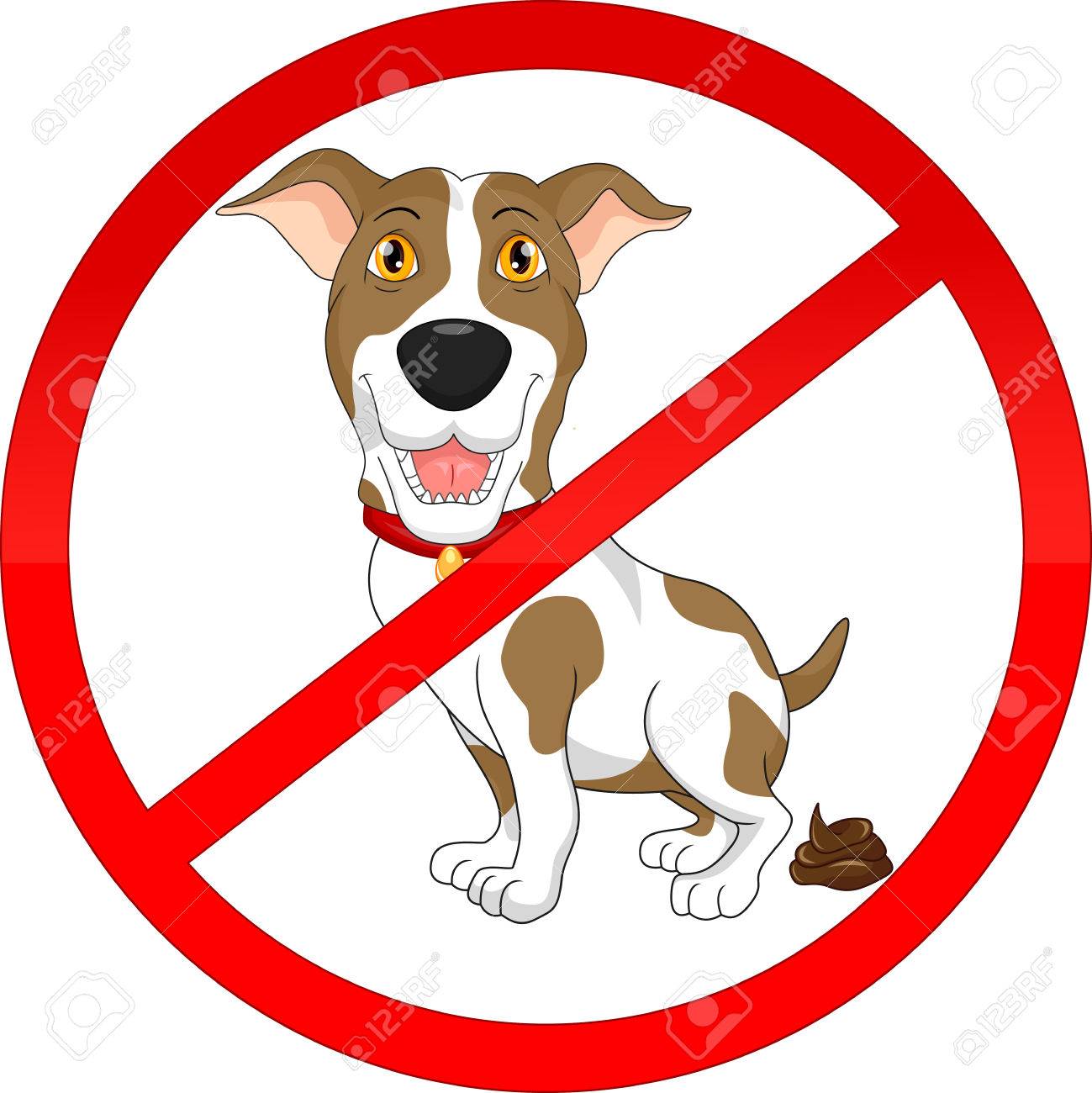 Собака гадит. Собака гадит в неположенном месте. Собака гадит дома. Собакам гадить запрещено. Собака гадит в неположенном месте.