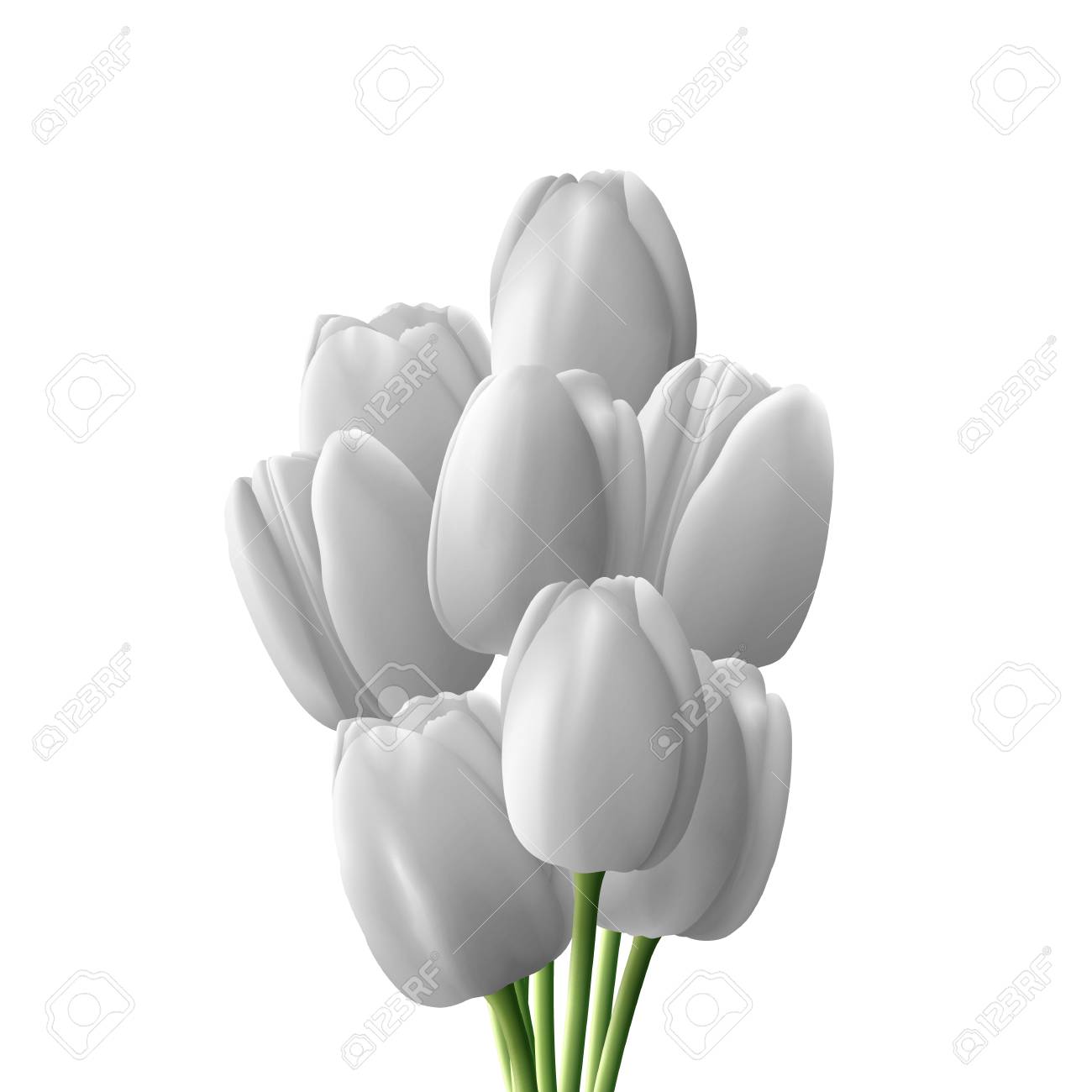 花チューリップ現実的な白い背景に分離されました 白いチューリップの花束 のイラスト素材 ベクタ Image