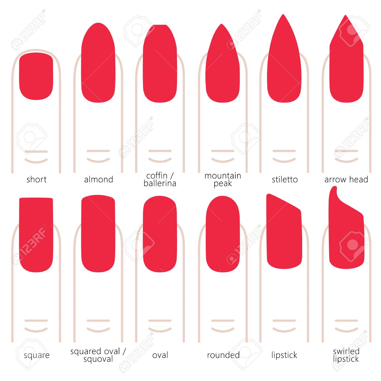 種類の爪形状爪ファッションのトレンド ベクトルの図 のイラスト素材 ベクタ Image