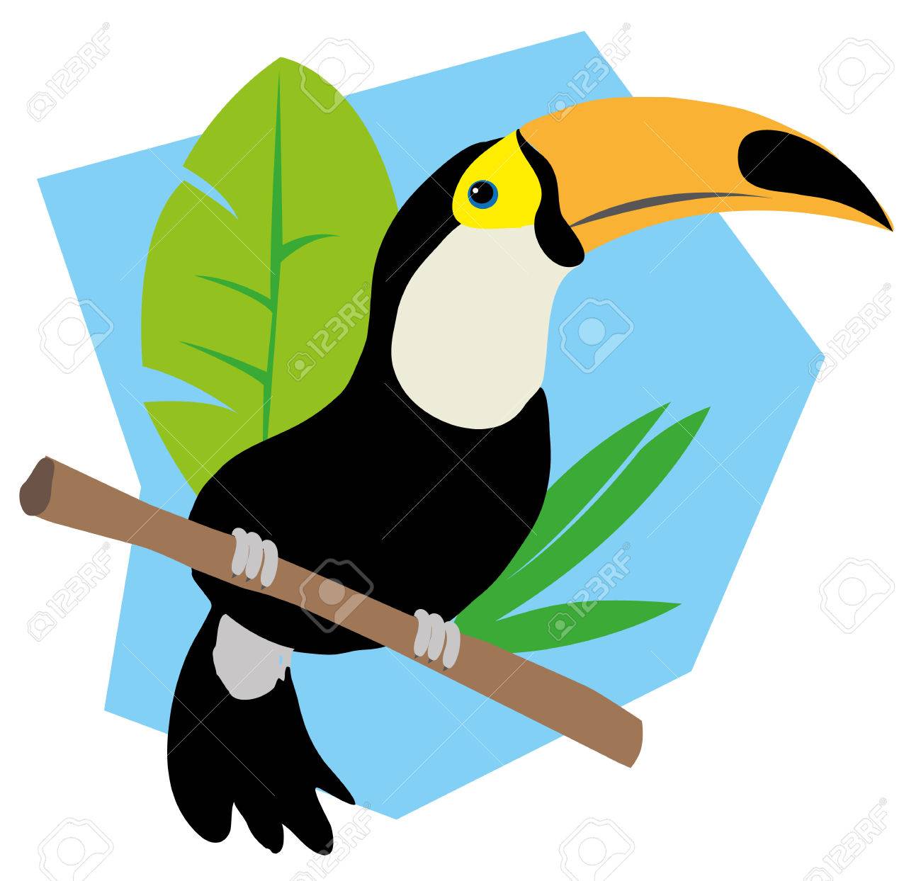 ブラジル オオハシ野生動物の鳥のイラスト のイラスト素材 ベクタ Image