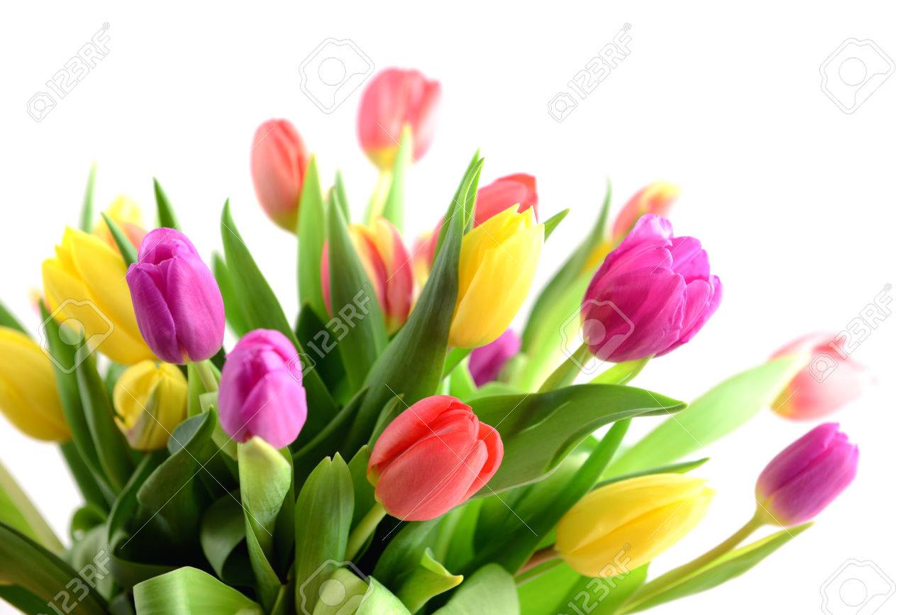 bunch of tulips on
