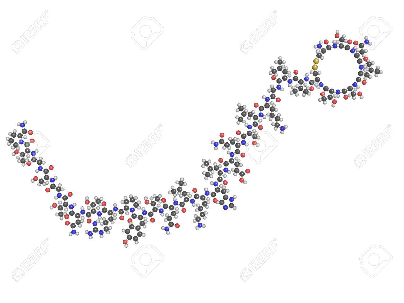 カルシトニン ペプチッド ホルモン薬物 閉経後骨粗鬆症の治療における化学構造使用および他の病気 の写真素材 画像素材 Image
