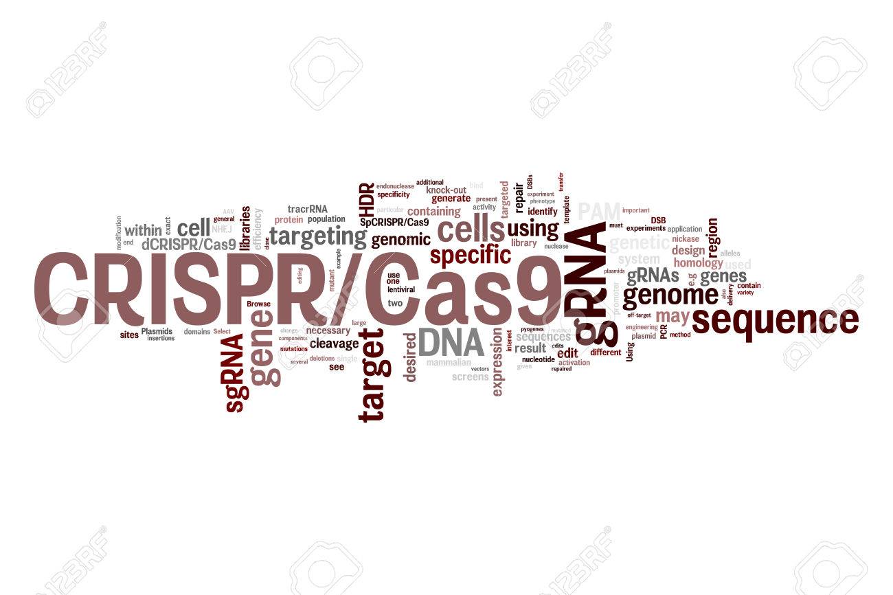 crispr cas9 system for editing regulating and targeting genomes