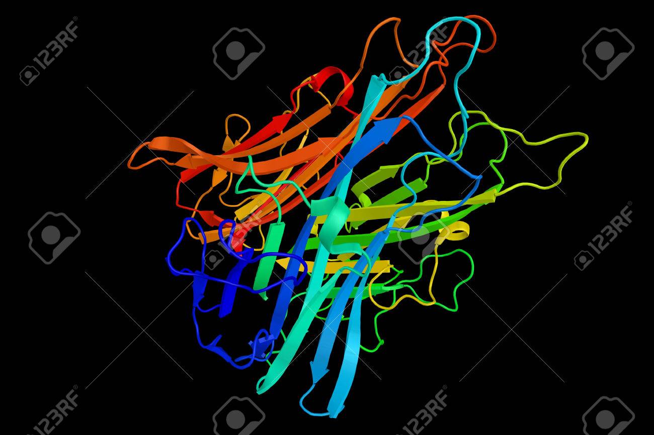 腫瘍壊死因子 3 D 構造 レギュレータ免疫細胞 細胞のシグナル伝達タンパク質 サイトカイン 全身性炎症に関与して急性相反応を構成するサイトカインの一つです の写真素材 画像素材 Image