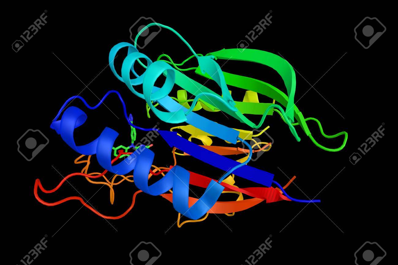 Ttrap Cd40 腫瘍壊死因子 Tnf 受容体 75 関連付ける蛋白質身振りと関連付けられている Tnf 受容体 Trafs を要因し核因子 K B 活性を阻害します 3 D レンダリング の写真素材 画像素材 Image