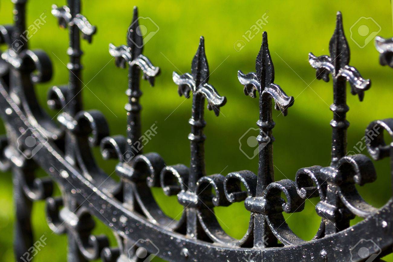 Schwarz Lackierter Eisenzaun Nahaufnahme Hinweis Geringe Scharfentiefe Lizenzfreie Fotos Bilder Und Stock Fotografie Image 19408710