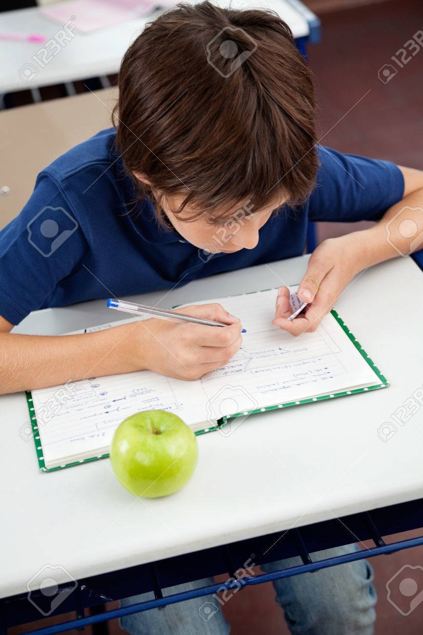essay for purchase life on mars