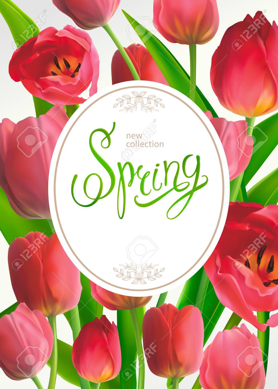 赤いチューリップと美しい春の背景 3月8日 母の日 誕生日 春セールのグリーティングカードとバナーのためのテンプレート ベクトルイラスト のイラスト素材 ベクタ Image