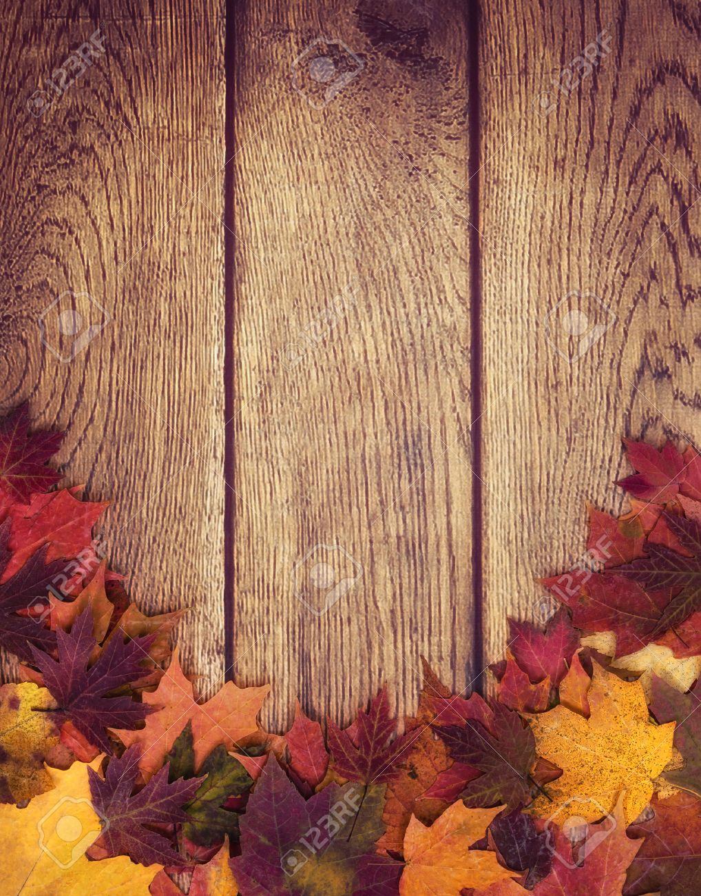 autumn leaves border against wooden background fall background