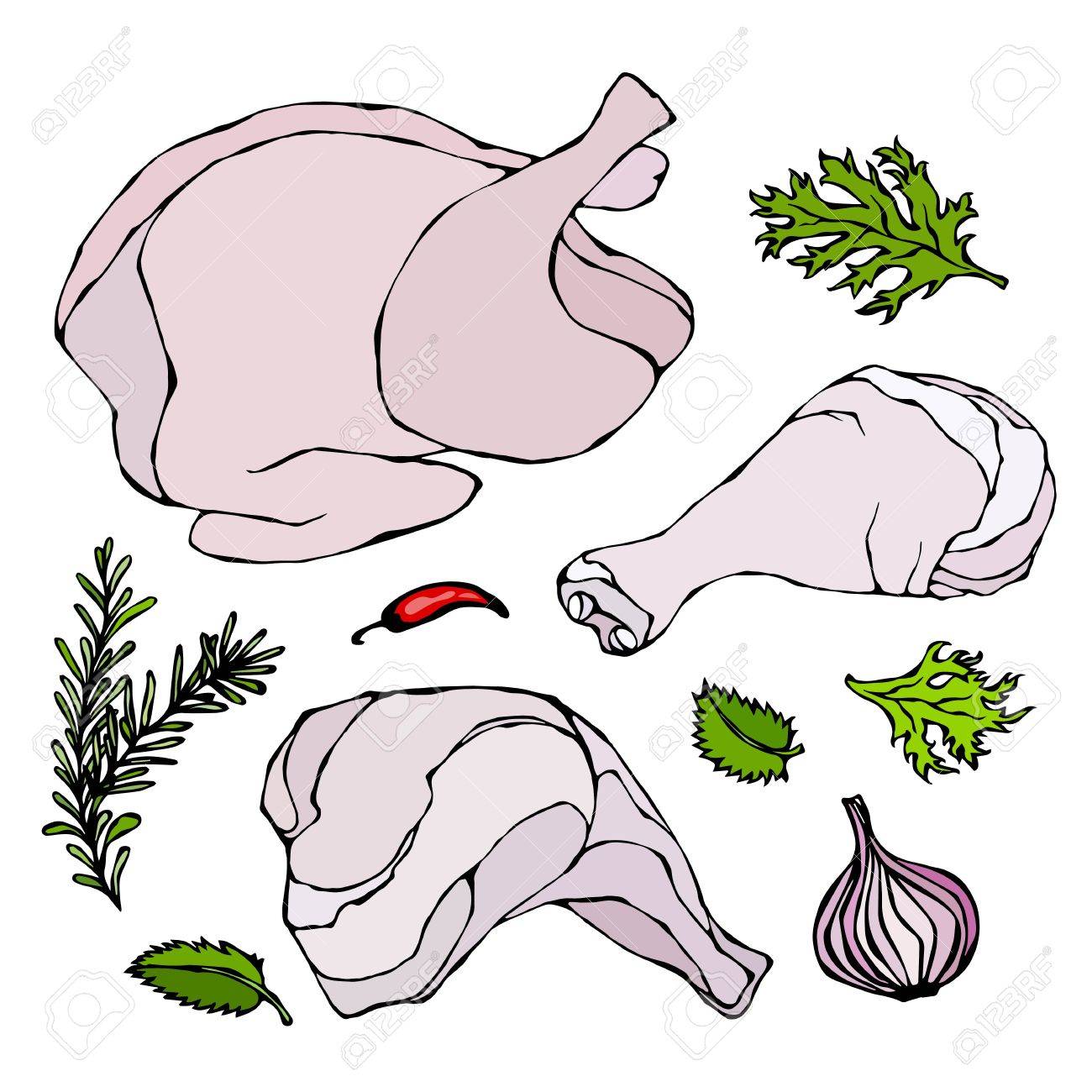 Chicken Or Turkey Body Parts Set Fowl Meat Fillets Ham Shank