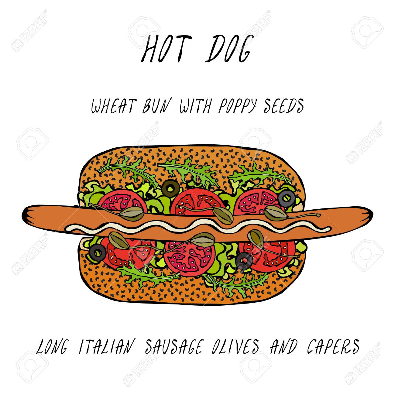 Hot Dog on a Bun with Poppy Seeds. Long Italian Sausage, Olives, Capers, Rocket, Lettuce Salad. Fast Food Collection. Realistic Hand Drawn High Quality Vector Illustration. Doodle Style - 115007716 Hot Dog on a Bun with Poppy Seeds. Long Italian Sausage, Olives, Capers, Rocket, Lettuce Salad. Fast Food Collection. Realistic Hand Drawn High Quality Vector Illustration. Doodle Style - 115007716