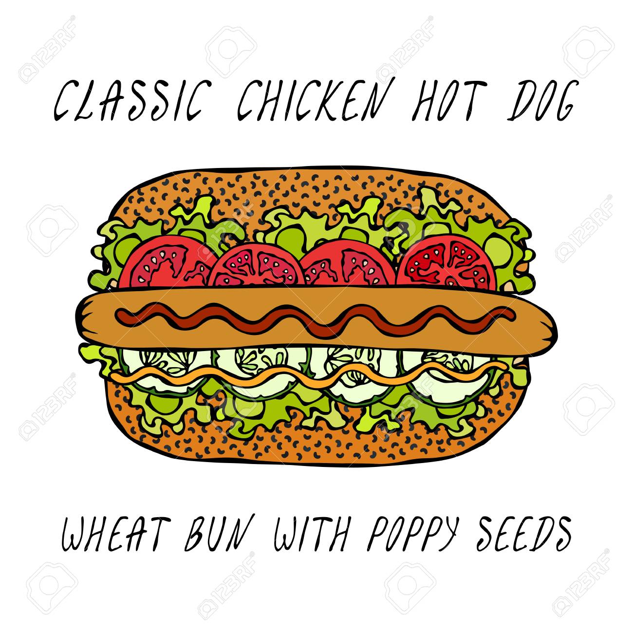 Classic Chicken Hot Dog on a Sesame Bun with Lettuce Salad, Tomato, Cucumber, Mustard, Ketchup. Street Fast Food Collection. Realistic Hand Drawn High Quality Vector Illustration. Doodle Style - 114966642 Classic Chicken Hot Dog on a Sesame Bun with Lettuce Salad, Tomato, Cucumber, Mustard, Ketchup. Street Fast Food Collection. Realistic Hand Drawn High Quality Vector Illustration. Doodle Style - 114966642