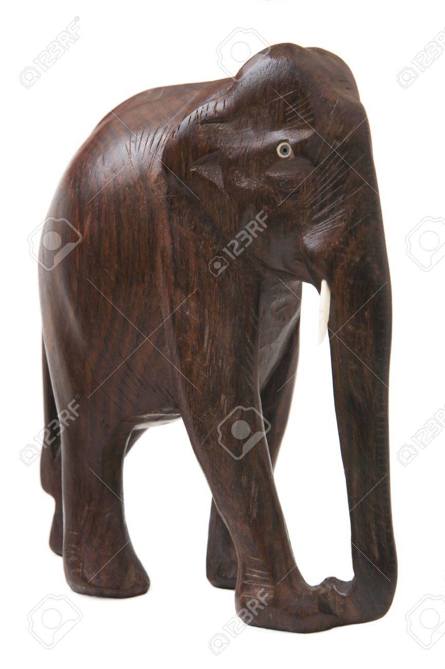 small dog back brace