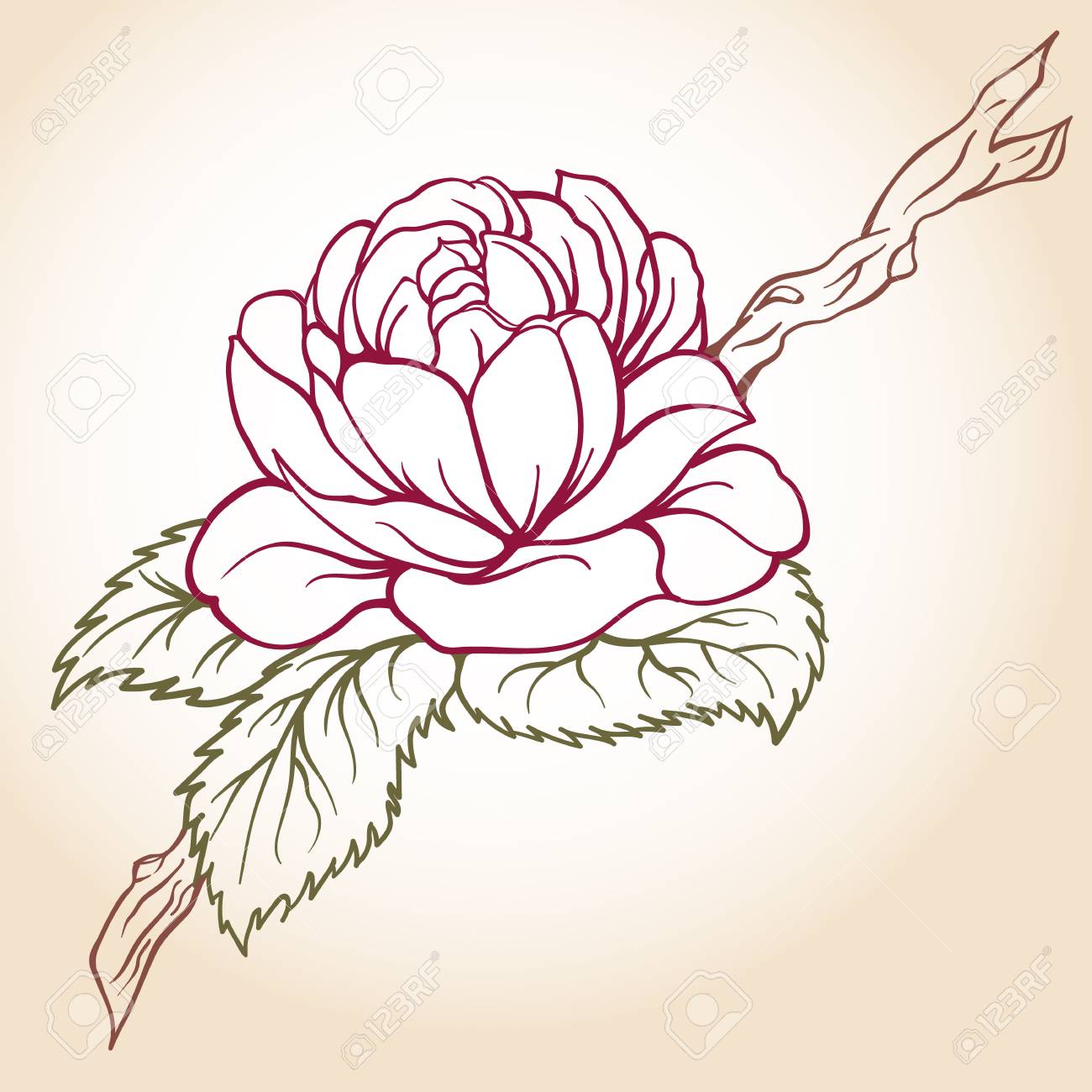 葉と枝に咲く椿の花をスケッチします レトロな花のイラスト グリーティング カード 招待状のデザイン要素です のイラスト素材 ベクタ Image