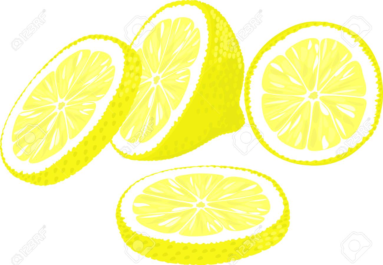Slices Of Lemon. Vector Illustration Of Lemon Slices In Different Angles.  Royalty Free SVG, Cliparts, Vectors, and Stock Illustration. Image 43122093., image size:1300x901