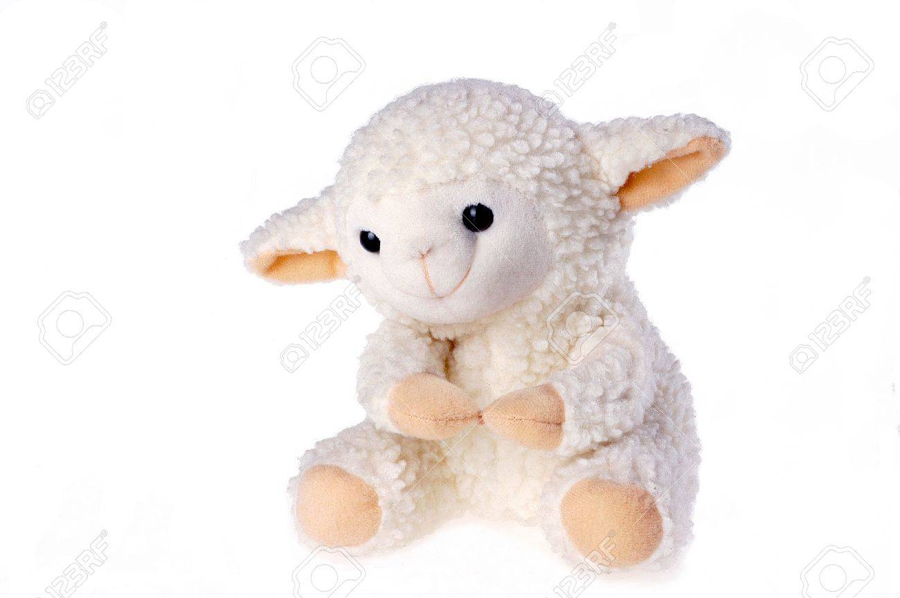 children's favorite toys