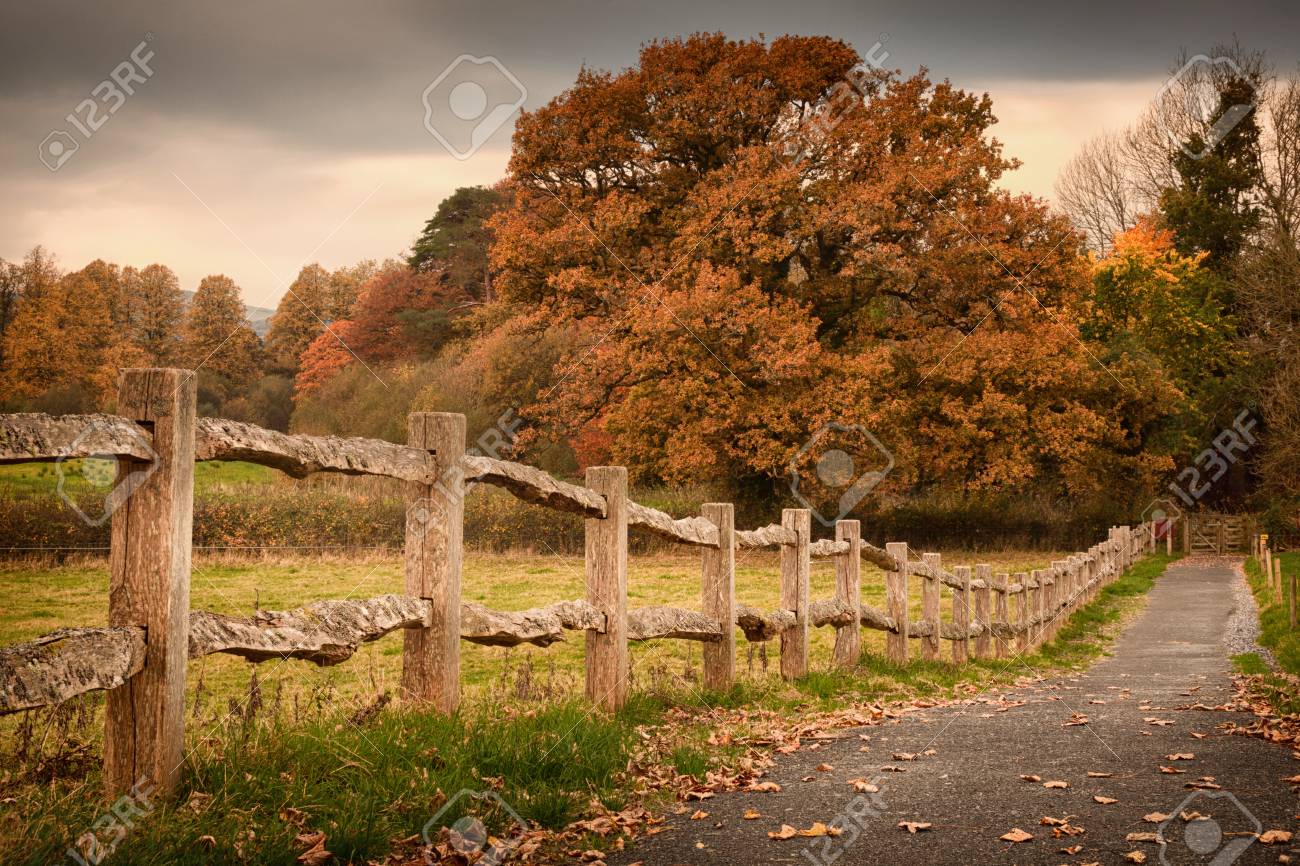 countryside path and an old rustic countryside fence in autumn stock