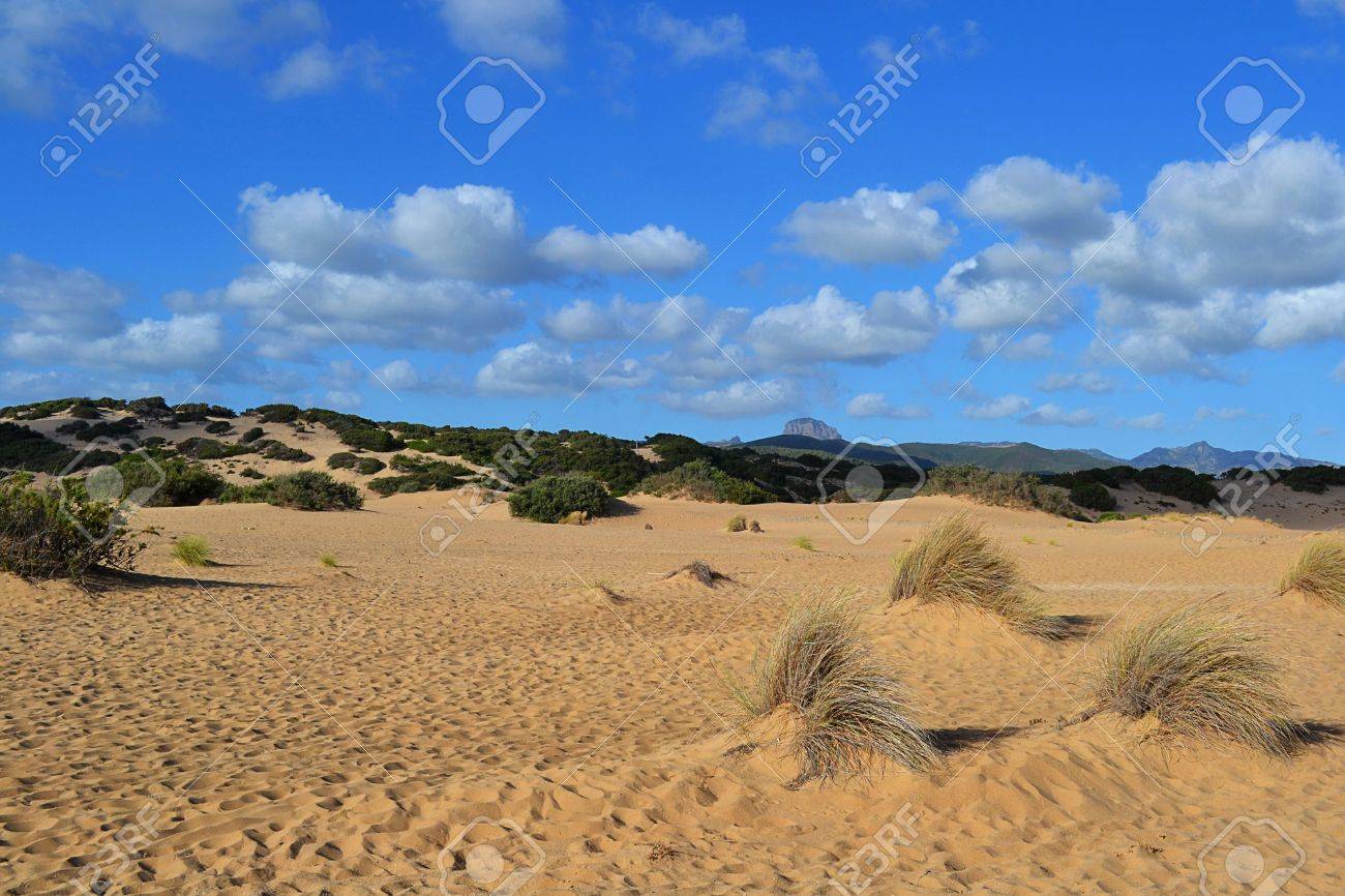 Le Dune Incontaminate Di Piscinas Incontrano La Meraviglia