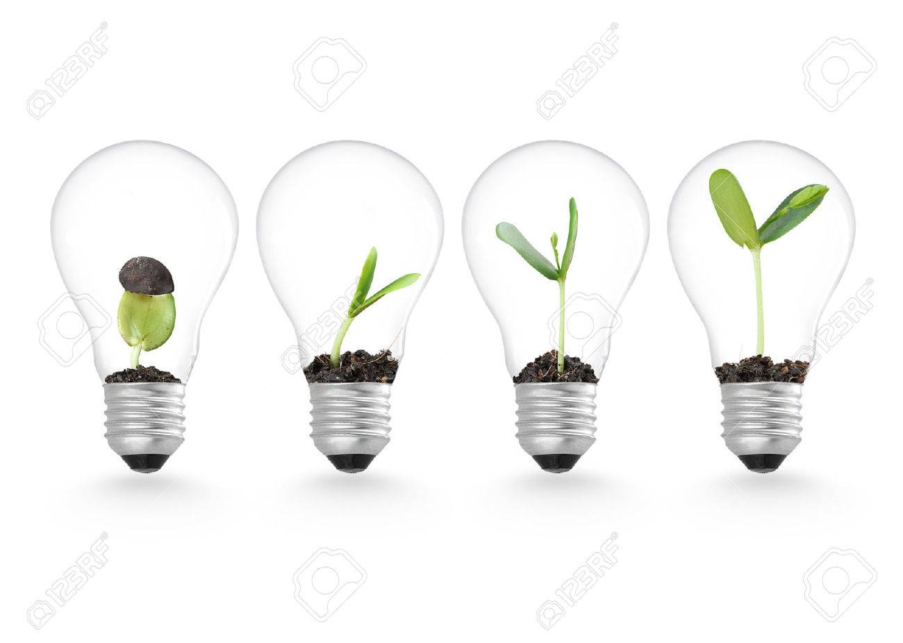 Plant growing in lightbulb , ecology ideas growth concept - 50213182 Plant growing in lightbulb , ecology ideas growth concept - 50213182