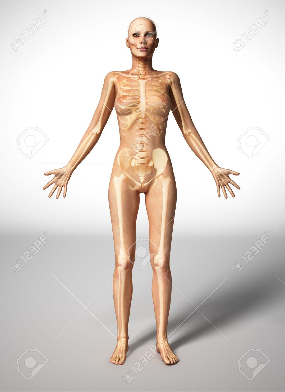 Naked Woman Standing On Floor With Bone Skeleton Superimposed Stock Photo 11713076 Naked Woman Standing On Floor With Bone Skeleton Superimposed Stock Photo 11713076