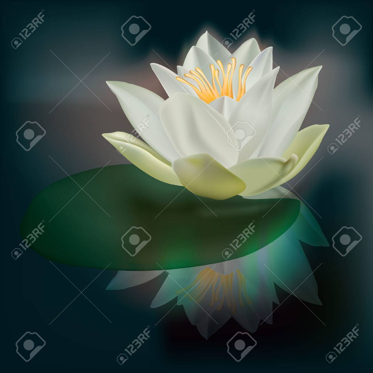 暗闇の中で白い蓮と抽象的な花のイラスト のイラスト素材 ベクタ Image