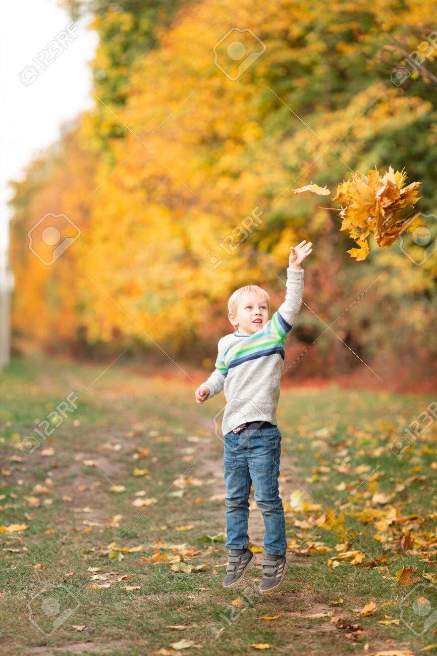 Happy little boy gathering autumn leaves in the park in autumn - 131894762 Happy little boy gathering autumn leaves in the park in autumn - 131894762