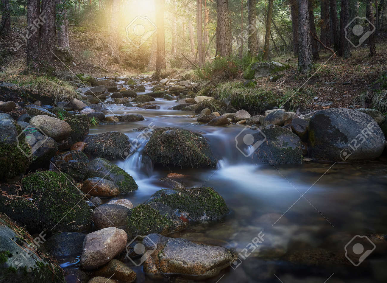 beautiful sunset, with the sunlight entering the pine forest, stream and waterfalls of Valsain in Segovia - 158757698 beautiful sunset, with the sunlight entering the pine forest, stream and waterfalls of Valsain in Segovia - 158757698