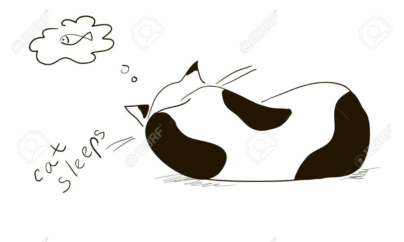 Noir Blanc Chat Dort Sur Le Backgroun Blanc Et Rêve De Poisson