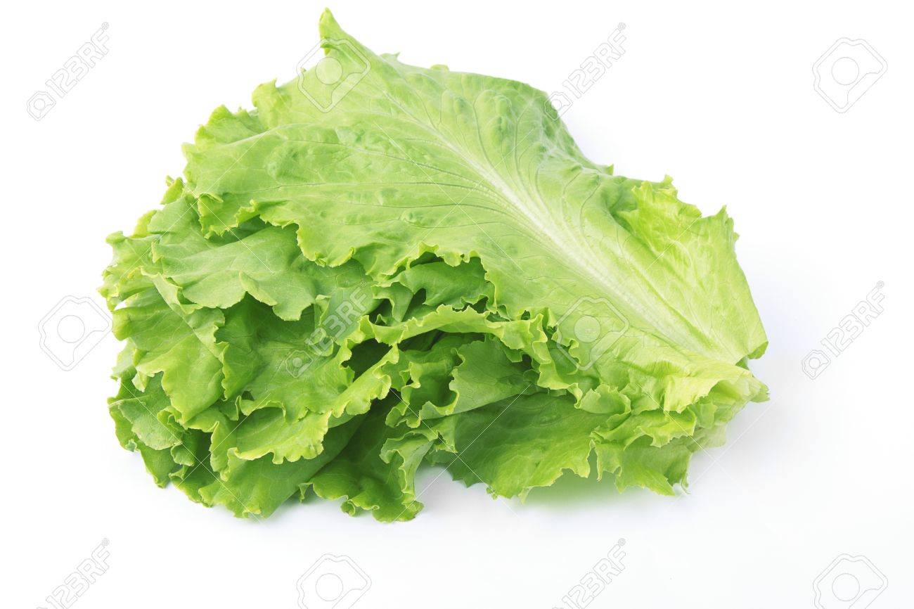 Fresh Salad Leaves Bulk Isolated Over White Stock Photo Picture