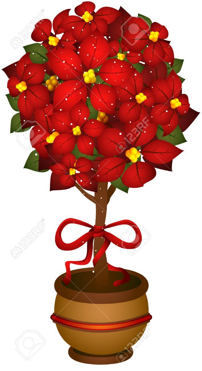 クリッピング パスを持つポインセチア イラストのイラスト素材 ベクタ Image