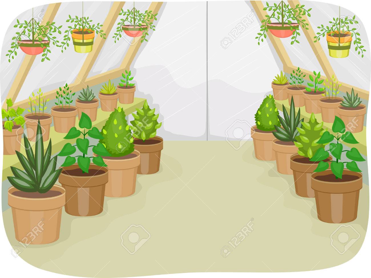 住宅のさまざまな種類の植物の温室のイラスト のイラスト素材 ベクタ Image