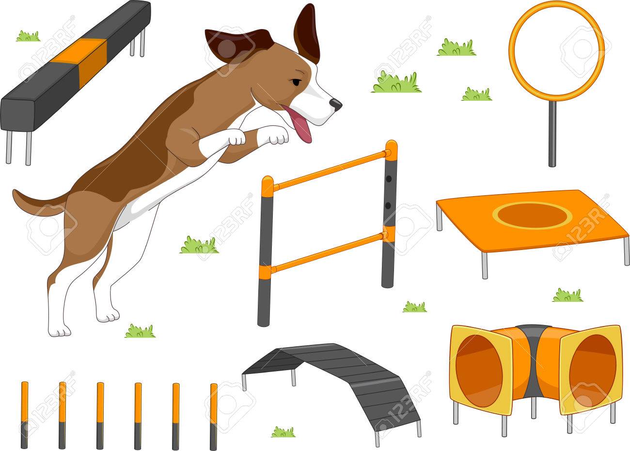 dog agility training