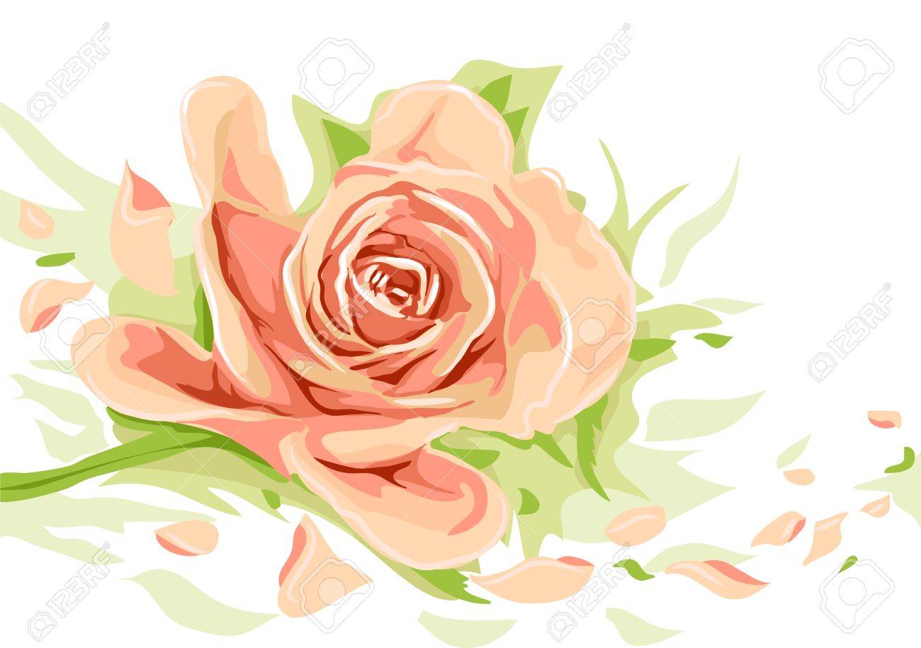floral illustration featuring a peach colored rose royalty free