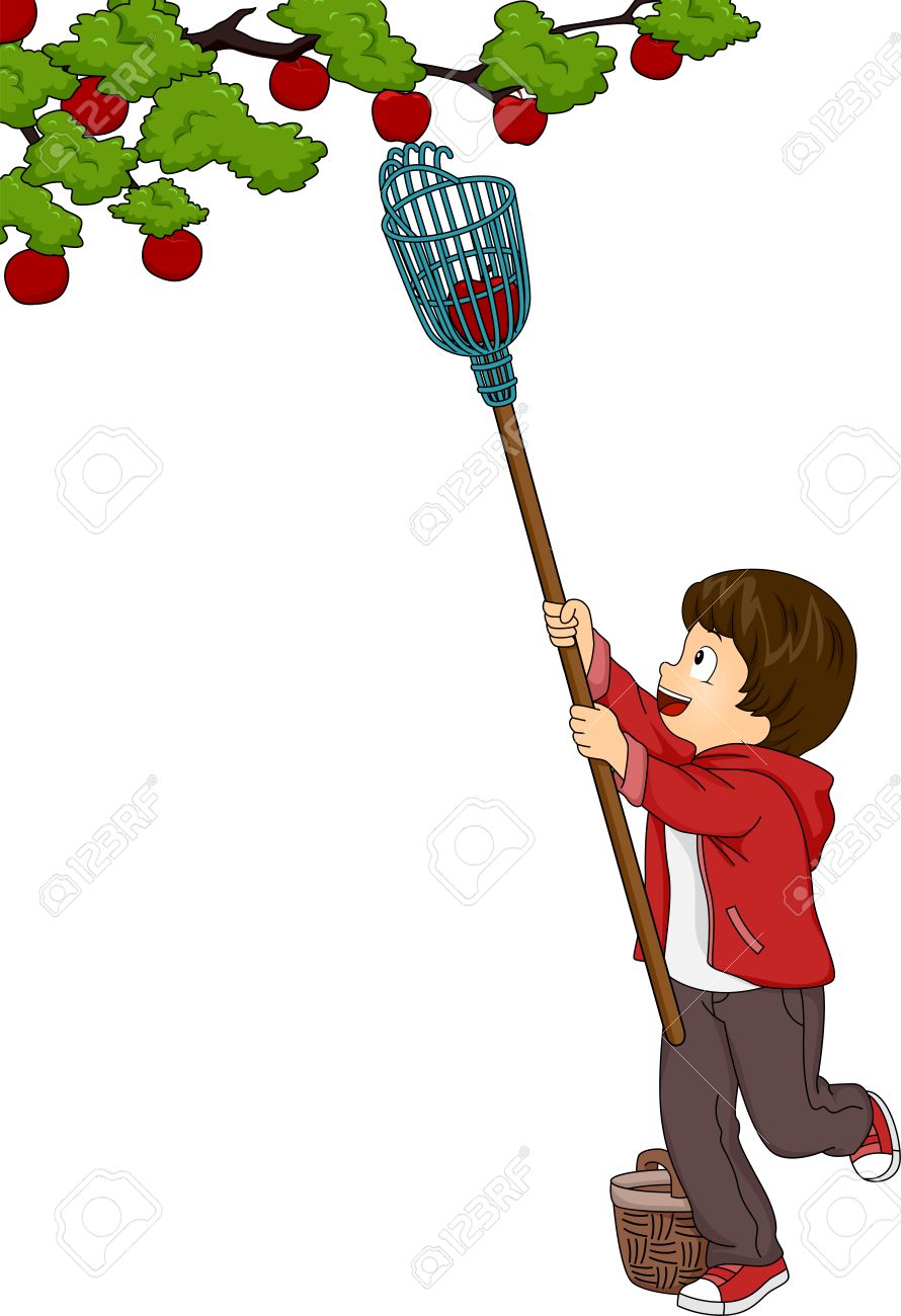 Niño recogiendo imágenes prediseñadas de árboles frutales