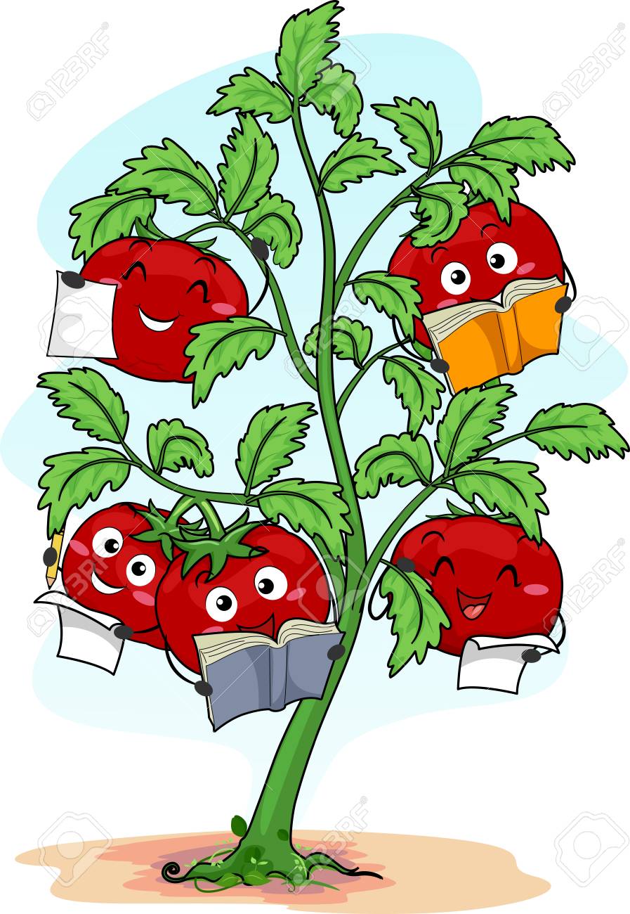 Ilustracion Colorido Que Ofrece Happy Red Tomato Mascottas Los Libros De Lectura Fotos Retratos Imagenes Y Fotografia De Archivo Libres De Derecho Image