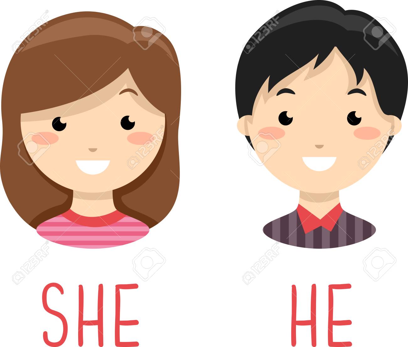 Illustration Of A Girl And A Boy With A He And She Gender Identifier As Lesson Stock Photo, Picture And Royalty Free Image. Image 95564344.